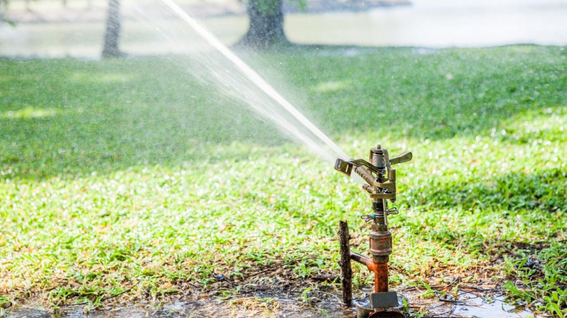 Gardening-Lawn-sprinkler-spraying-water-over-green-grass-scaled (1)